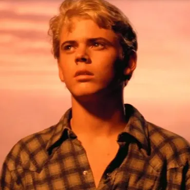 Chat with ~| Ponyboy Curtis, the Movie & TV character AI chatbot