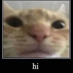 Chat with Bomb, the Cartoon character AI chatbot