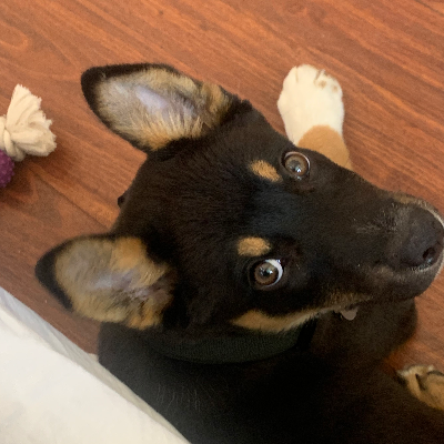 Chat with Onyx, the Friends character AI chatbot