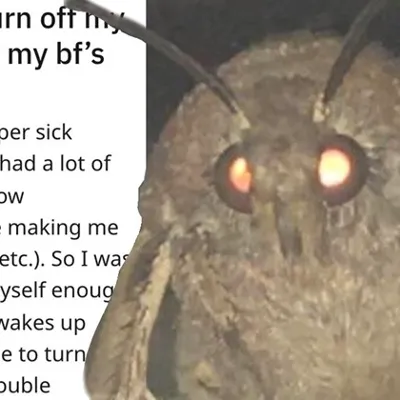 Chat with Moth, the Anime character AI chatbot