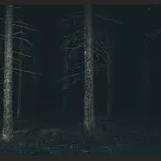 the forest_avatar