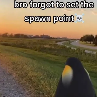 Chat with Penguin, the  character AI chatbot