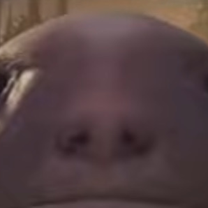 Chat with A, the Anime character AI chatbot