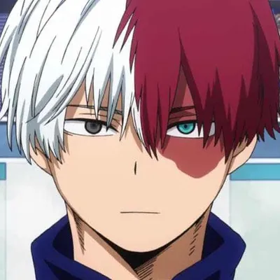 Chat with Shoto Todoroki, the  character AI chatbot