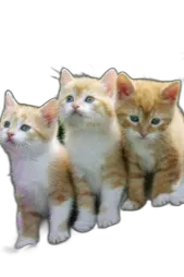 Chat with foxes of army, the  character AI chatbot