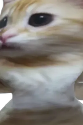 Chat with Dani, the Interactive story character AI chatbot