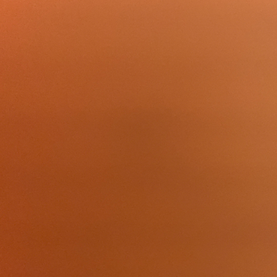 Chat with Jayden, the  character AI chatbot