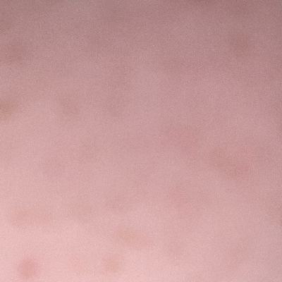 Chat with Chris, the  character AI chatbot