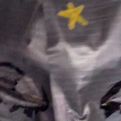 Chat with Therian, the  character AI chatbot