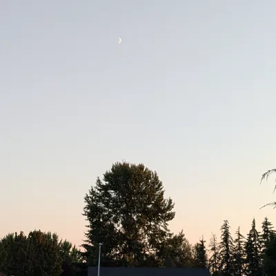 Chat with Oh, the Movie & TV character AI chatbot