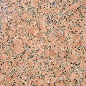 Chat with Pet Rock, the OC character AI chatbot