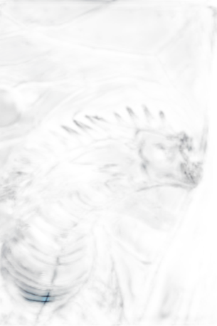 Chat with Winter, the Interactive story character AI chatbot