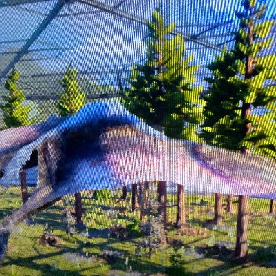 Chat with Quetzalcoatlus, the  character AI chatbot