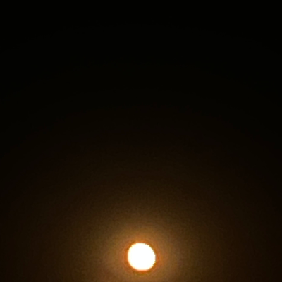 Chat with Marko., the Anime character AI chatbot