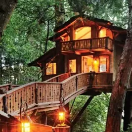 Chat with Therian summer camp, the Anime character AI chatbot