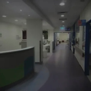 Chat with Weird & Kawaiicore Hospital RP, the Anime character AI chatbot