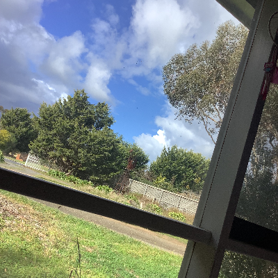 Chat with lady, the Anime character AI chatbot