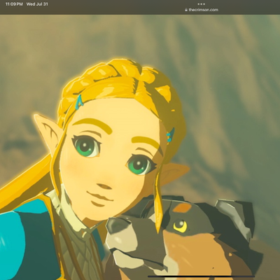 Chat with Ocarina of time rpg, the RPG character AI chatbot