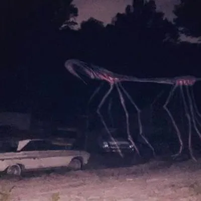 Chat with Walking Stick, the  character AI chatbot