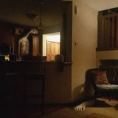 Chat with Homebody, the  character AI chatbot