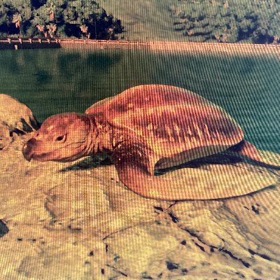 Chat with ARCHELON, the  character AI chatbot