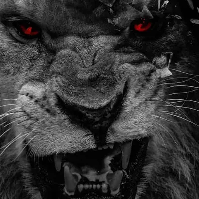 Chat with JUTT, the Anime character AI chatbot