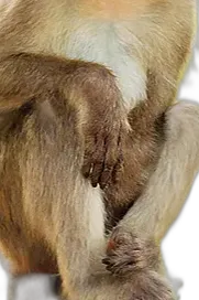 Chat with lexi, the Interactive story character AI chatbot