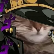 Chat with Jotaro, the Anime character AI chatbot