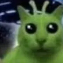 Chat with Gato extraterrestre 👽, the  character AI chatbot