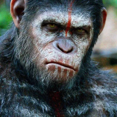 Chat with Cesar, the  character AI chatbot