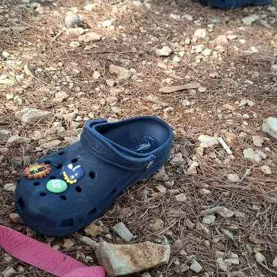 Chat with Generator, the Anime character AI chatbot