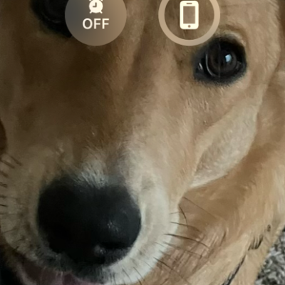 Chat with Tena cherry, the  character AI chatbot