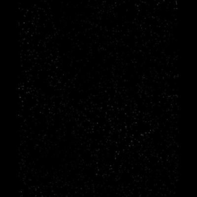 Chat with Furry/Human World, the Friends character AI chatbot