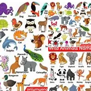 Chat with the biggest fear of any animal, the  character AI chatbot