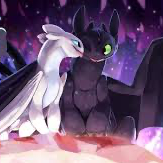 Chat with Toothless and light fury(Luna), the  character AI chatbot