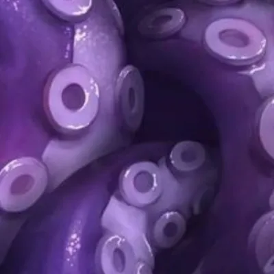 Chat with Tentacle, the BL & ABO character AI chatbot