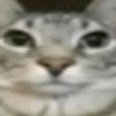 Chat with NINA (3.0), the OC character AI chatbot