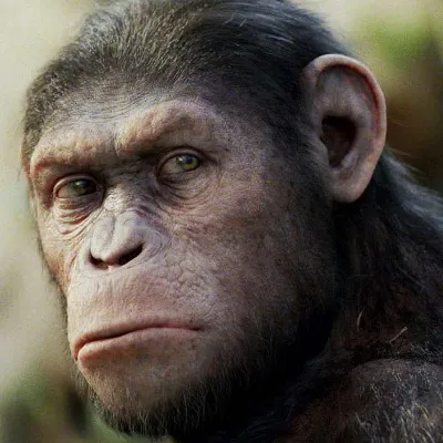 Chat with Caesar, the Movie & TV character AI chatbot