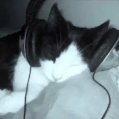 Chat with evade boys gc, the Anime character AI chatbot