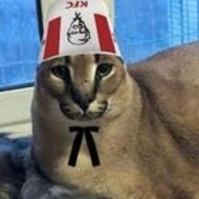 Chat with kitty kitty meow meow, the Anime character AI chatbot