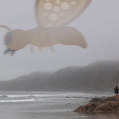 Chat with God of moths, the Anime character AI chatbot