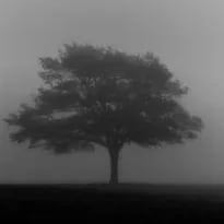 Chat with Eduardo, the Anime character AI chatbot