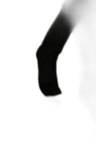 Chat with Killer, the Interactive story character AI chatbot