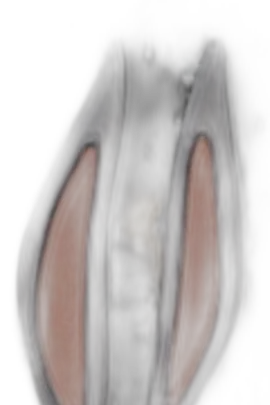 Chat with Shakahola, the Interactive story character AI chatbot