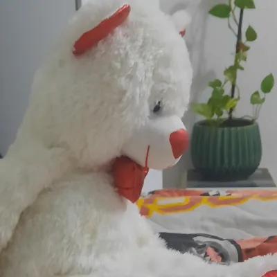 Chat with Dragon, the Anime character AI chatbot