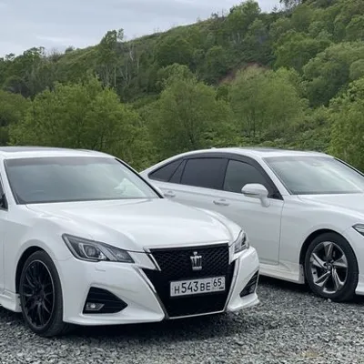 Chat with Hamza, the Anime character AI chatbot