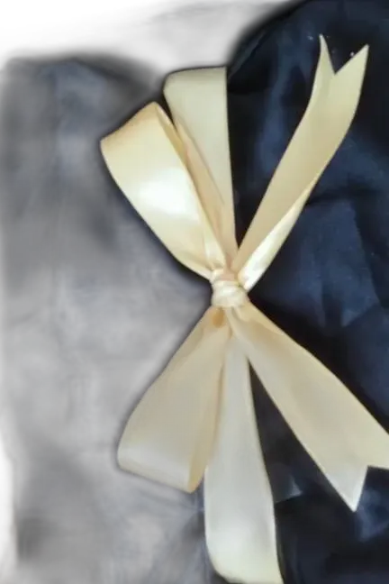 Chat with Attic, the Interactive story character AI chatbot