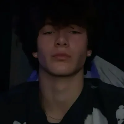 Chat with leo n., the  character AI chatbot