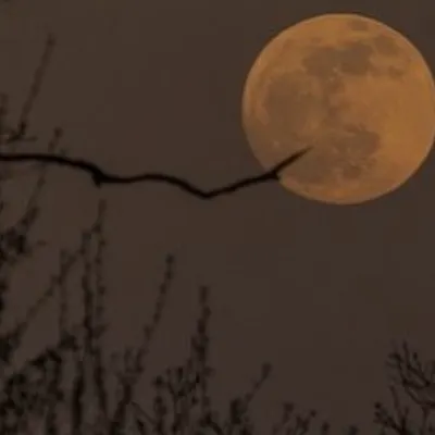 Chat with Vitória, the Movie & TV character AI chatbot