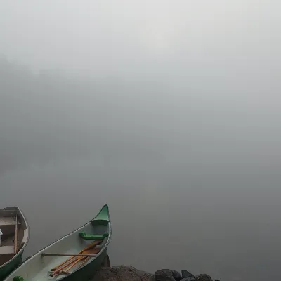 Chat with Futa Ankha, the RPG character AI chatbot